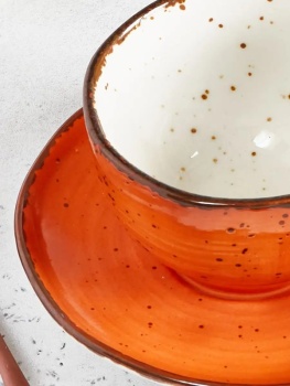 Чайная пара 200мл Fusion ORANGE SKY