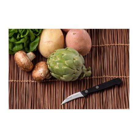 Нож для чистки овощей и фруктов 6см UNIVERSAL