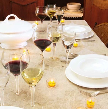 Бокал 225мл MICHELANGELO Professional line