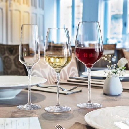 Бокал для вина 450мл SUBLYM