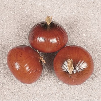 Муляж лук коричневый 3шт