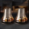 Набор стаканов для дегустации виски на охлаждающей подставке Whisky Atmosphere, 2шт