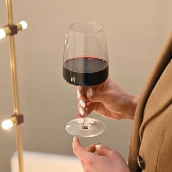 Бокал для красного вина 540мл NEXO