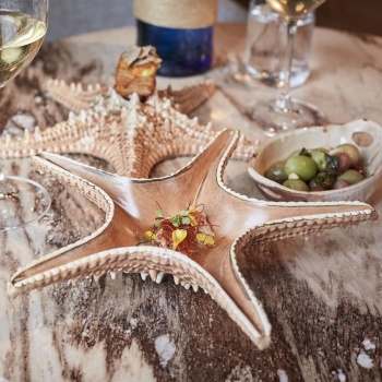 Блюдо 28см 100мл Звезда "Pearl Frutti di Mare" керамика