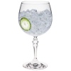 Бокал 630мл Gin Tonic BAR