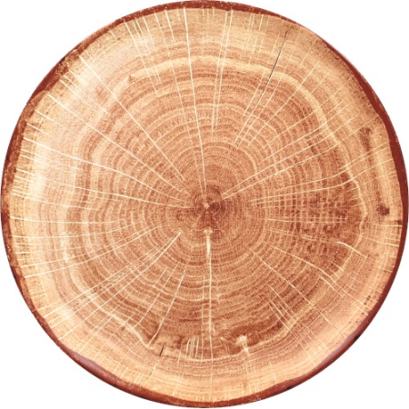 Тарелка Ø27см WOODART Timber brown