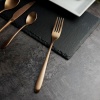 Вилка столовая 21.2см Alessi-Copper медный матовый цвет PVD покрытие