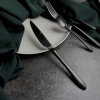 Нож столовый 23.5см Alessi-Black черный матовый цвет PVD покрытие