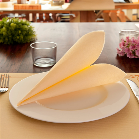 Салфетка 2сл 33x33см DOUBLE POINT шампань, 50шт